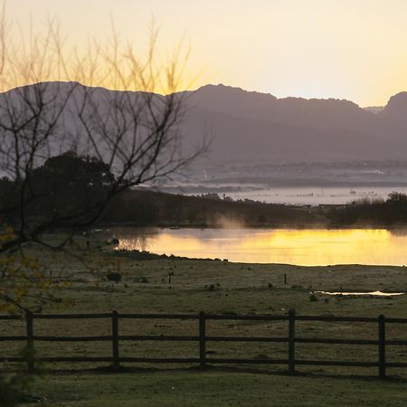 Under Oaks Guesthouse Paarl Buitenkant foto