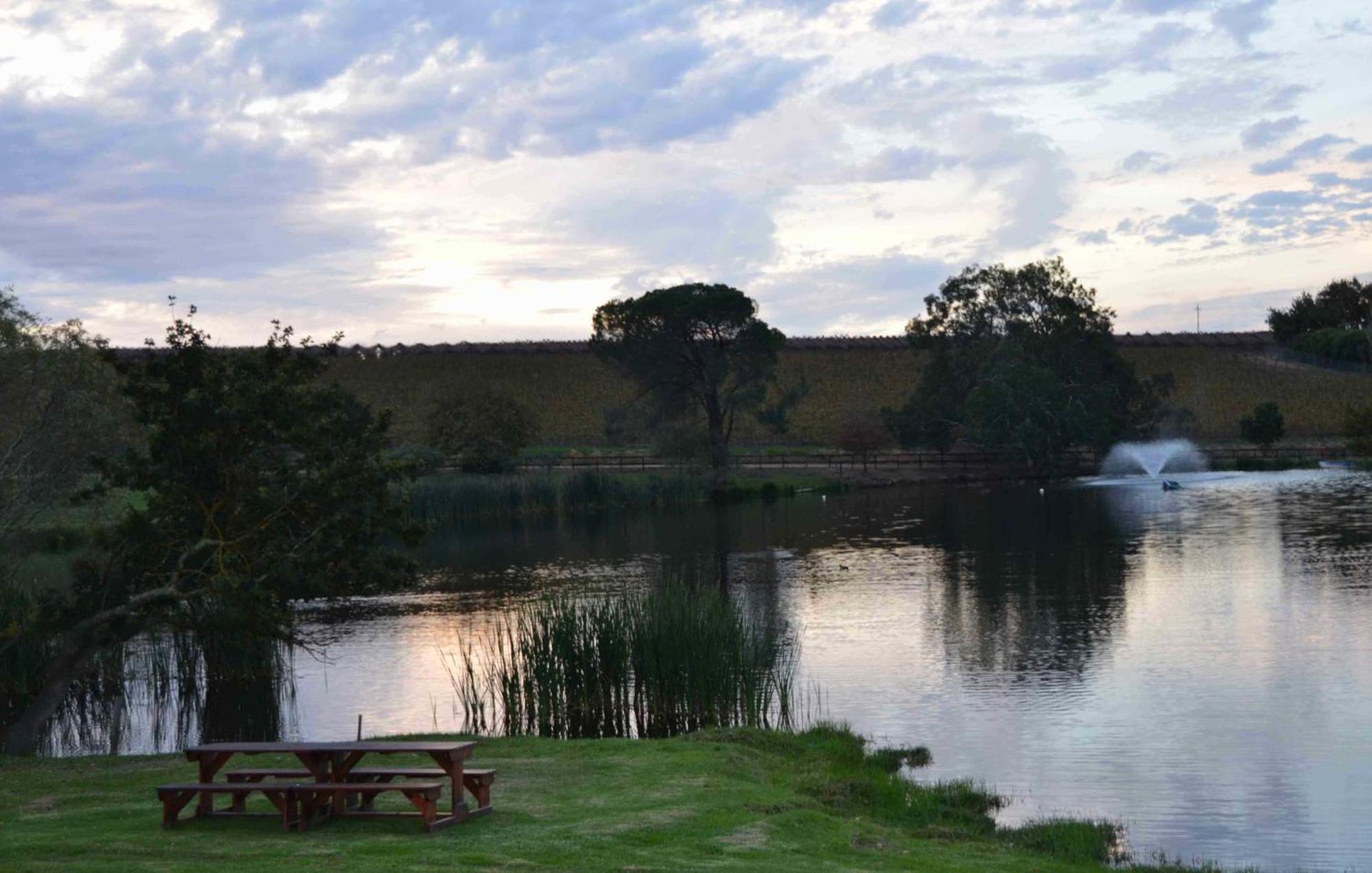 Under Oaks Guesthouse Paarl Kamer foto